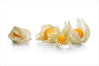 Bunch physalis with shadow on white background