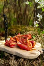 Fresh pork ribs with salt and pepper on cutting board outdoor. Selective focus photo