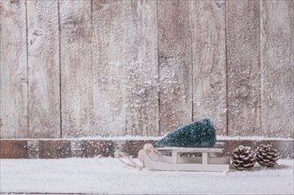 Wooden wall with small sleigh with christmas tree. Resolution and high quality beautiful photo