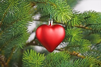 Red heart shaped Christmas bauble on decorated Christmas tree