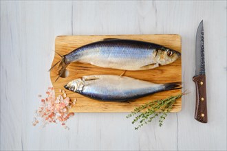 Overhead view of fresh whole carcass of herring on wooden cutting board