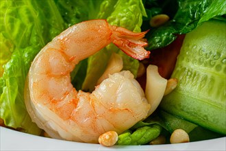 Macro photo of shrimp in salad with cucumber