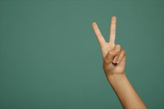Victory hand gesture. Resolution and high quality beautiful photo