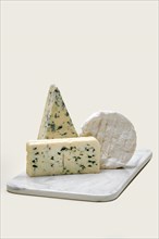 Various types of blue mold cheese