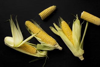 Top view fresh corn composition. Resolution and high quality beautiful photo