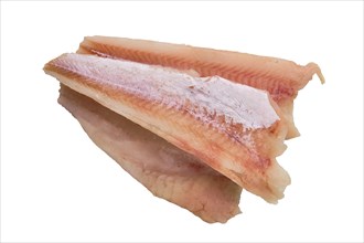 Top view of pangasius fillet isolated on white background