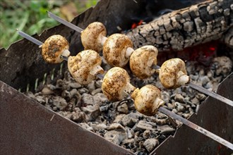 Barbecue skewers with grilled champignon mushroom in a brazier outdoor