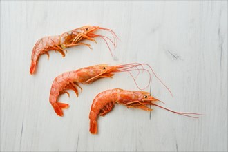 Top view of unpeeled shrimp with head on wooden table