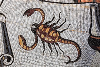 Scorpion mosaic on the floor