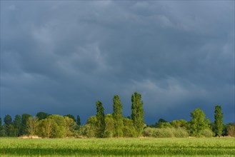 Stormy skies over a meadow in rainy spring weather. Alsace