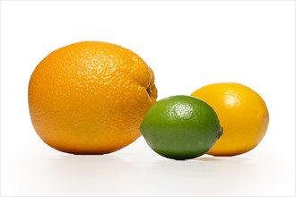 The composition of lemon