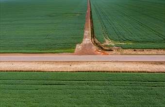Giant soy fields