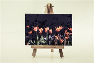 Tulip garden view on a painting tripod on white background