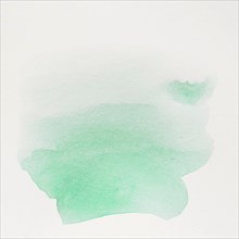 Green water color brush stroke white background