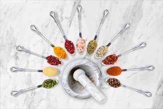 Various seasonings and herbs in spoons surrounding stone mortar on marble background