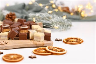 German sweets called 'Dominosteine'. Christmas candy consisting of gingerbread