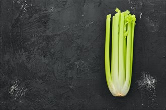 Fresh raw celery on black background
