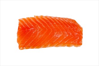 Top view of slice of salmon fillet