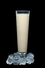 Tall glass of milk surrounded with ice cubes isolated on black background