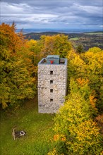 Man in red on tower in autumn forest