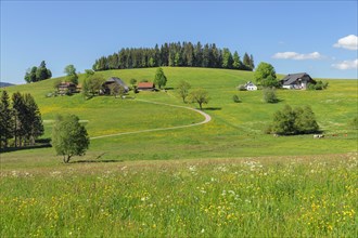 Black Forest houses near Breitnau