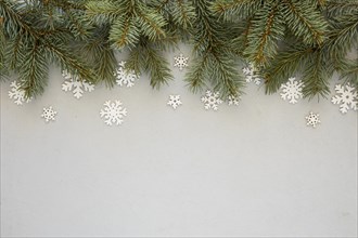 Pine needles grey background with snowflakes