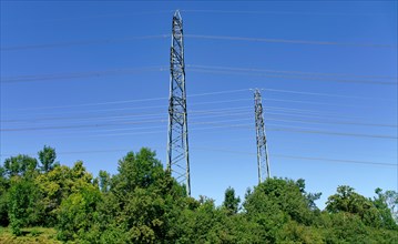 Electricity pylons in a green landscape