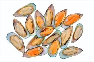 Raw large mussels isolated on white background
