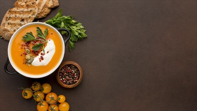 Flat lay winter squash soup bowl with toast copy space