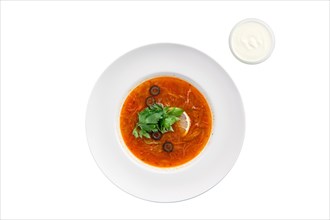 Traditional solyanka sour soup isolated on white background