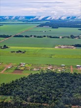 Aerial of the giant soy fields around Sinop