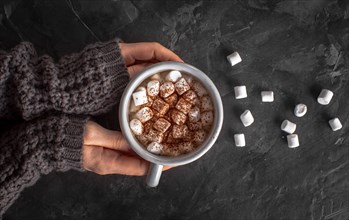 Hands holding hot chocolate with marshmallows cocoa powder