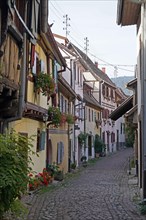 Colourful half-timbered houses in the historic old town of Eguisheim