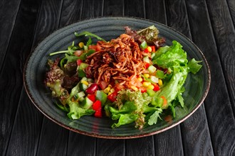 Salad with fresh vegetables and beef