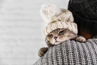 Copy space cute cat wearinf fur cap winter