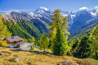 Furkelhuette in front of the panorama of the valley with Ortler 3905m and Trafoier Eiswand 3565m in early autumn