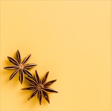 Cute star anise with orange background