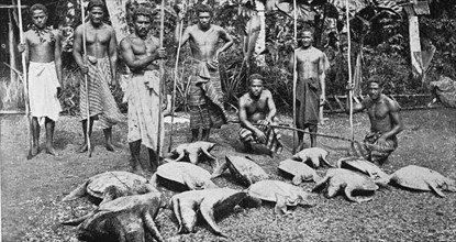 Samoan turtle hunters
