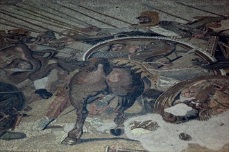 Mosaic floor in a thermal bath