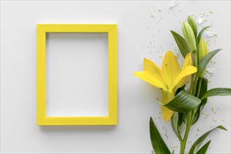 Elevated view fresh yellow lily flowers with blank empty photo frame white surface