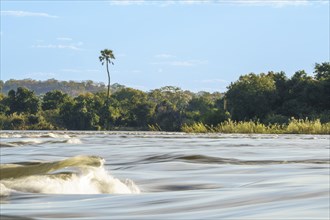 Scenery of rapids of the Zambezi river