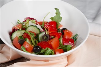 Vegetable fresh salad. Closeup photo