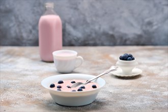 Oatmeal with homemade blueberry yogurt
