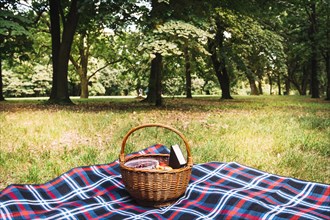 Wicker picnic basket blanket park. Resolution and high quality beautiful photo
