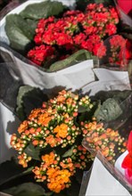 Beautiful bouquet of flowers at the street flower vendor