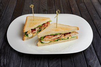 Plate with club sandwich on wooden table
