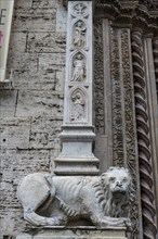 Lion statue before the Perugia cathedral