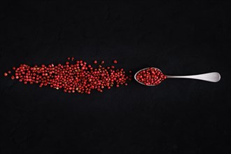 Dry pink pepper scattered near metal spoon on dark background