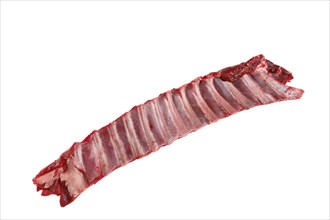 Raw fresh deer ribs isolated on white background