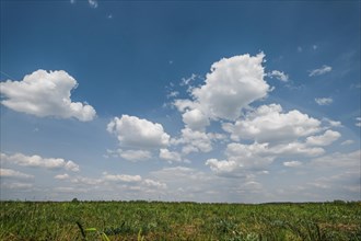 Deep blue sky with clouds over the field